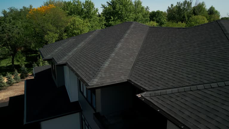 Trusted Escobares, TX Roofing Services Experts