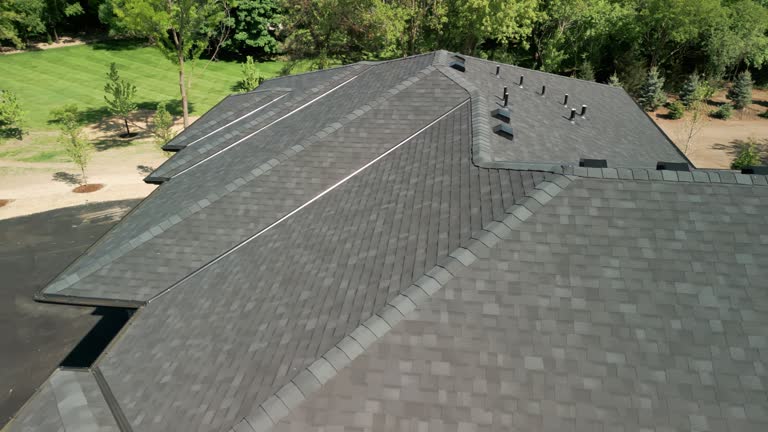 Best Chimney Flashing Repair  in Escobares, TX