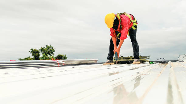 Best Roof Maintenance and Cleaning  in Escobares, TX