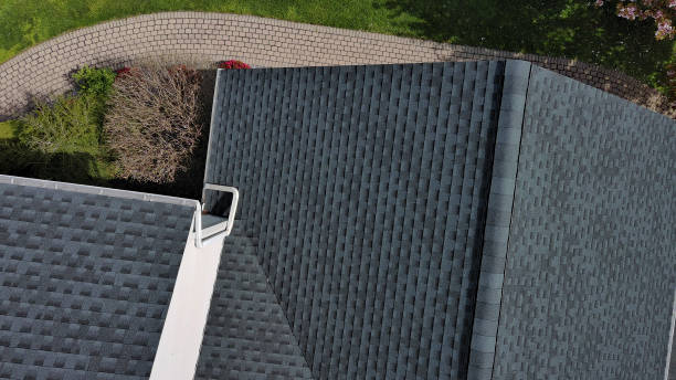 Best Green or Eco-Friendly Roofing Solutions  in Escobares, TX