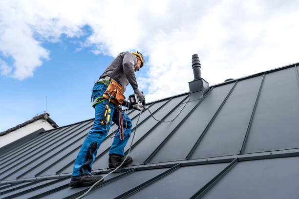 Best Metal Roofing Installation  in Escobares, TX